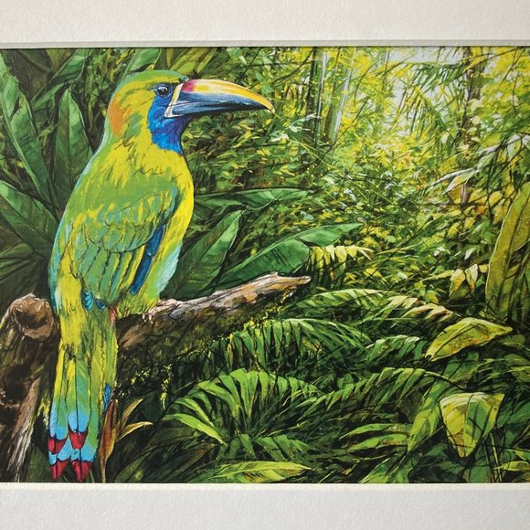 8x10" Colombia Cafe Quindio Art Print (w/mat): Green Tucan - HOME - Picture 2 of 6